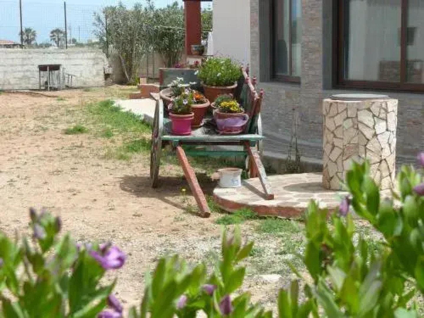 Venustas Apartaments