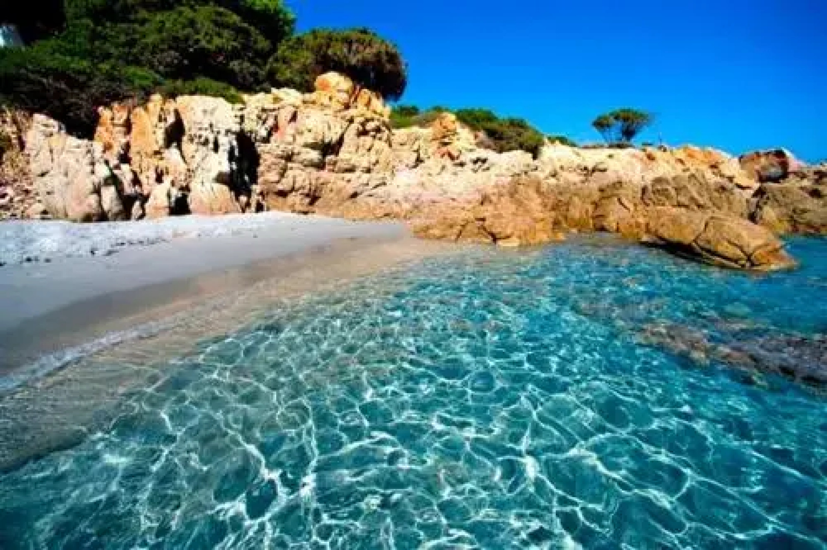 La Ginestra