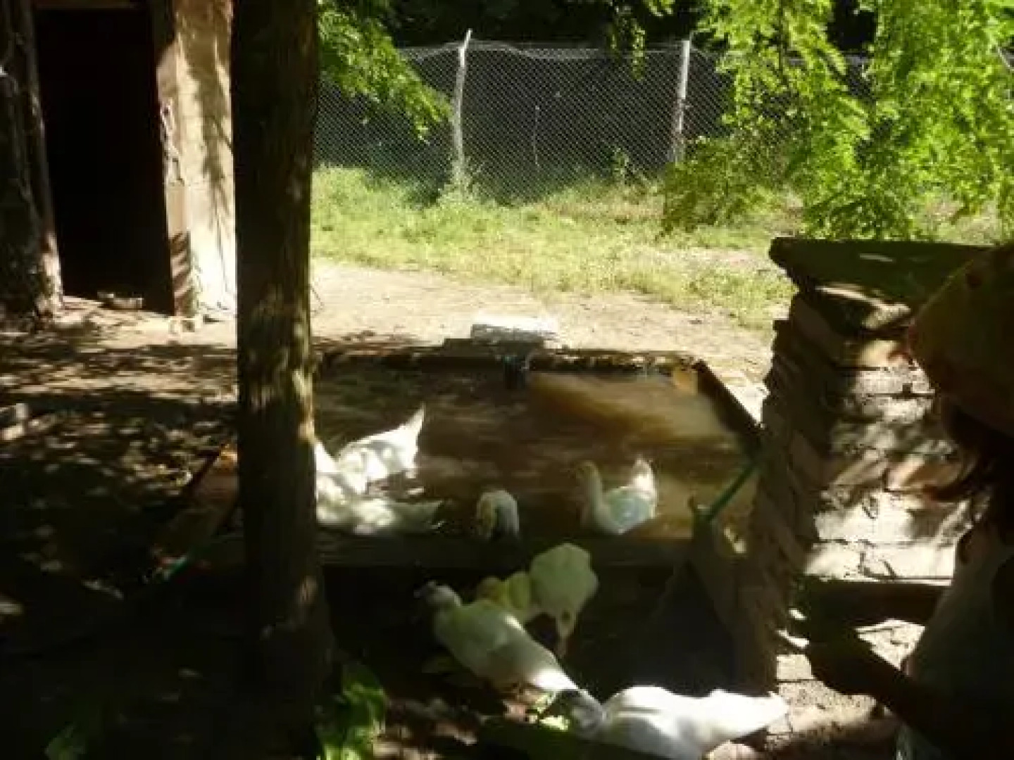 Il Lombrico Felice Agricoltura Biologica