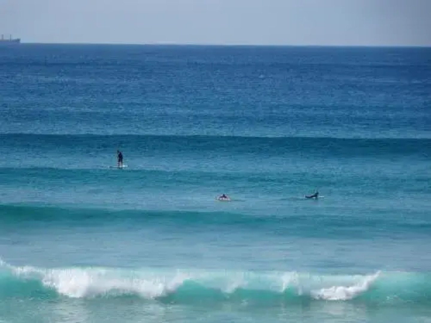 Boardies at the Bay