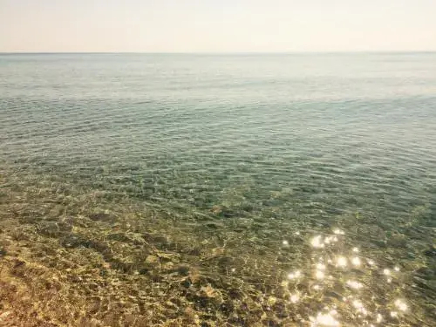 Guest House Arlekino