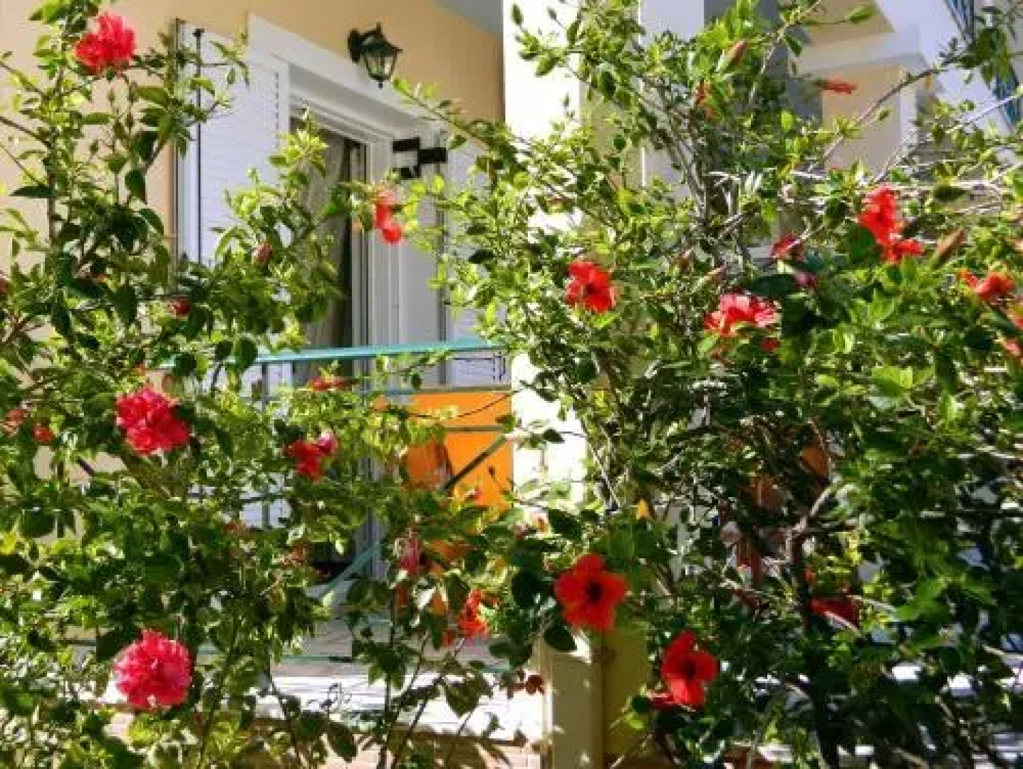 Irene Studios Kefalonia