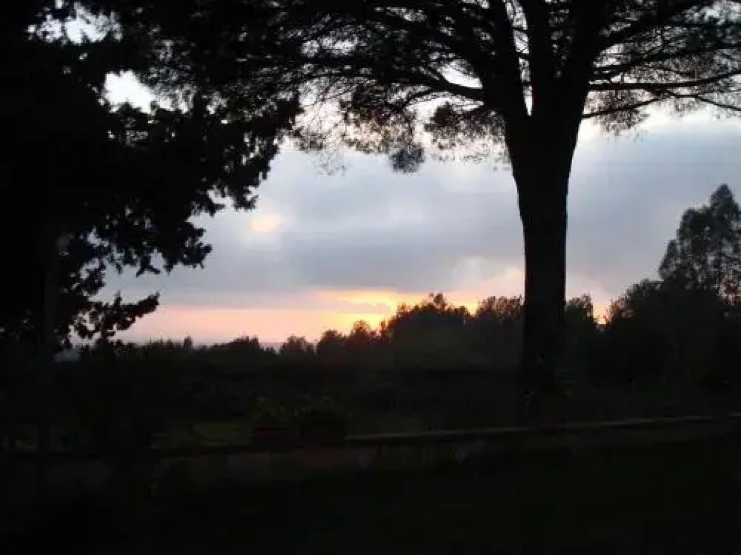 Ai Cipressi