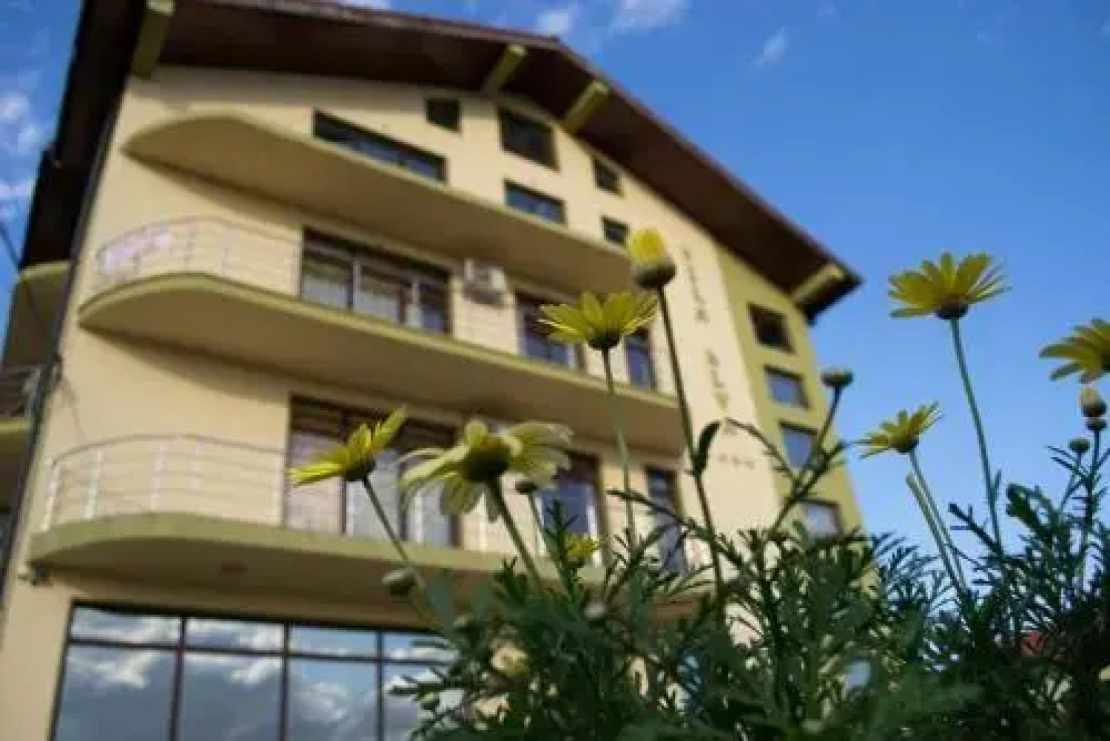Vila Elva