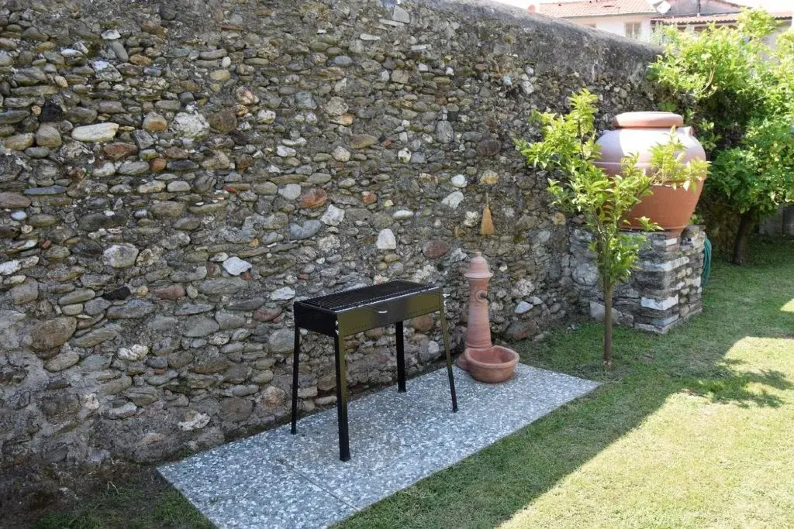 Bouganville