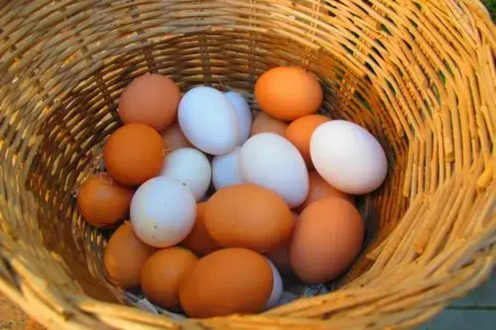 Casa Rural Faín Viejo