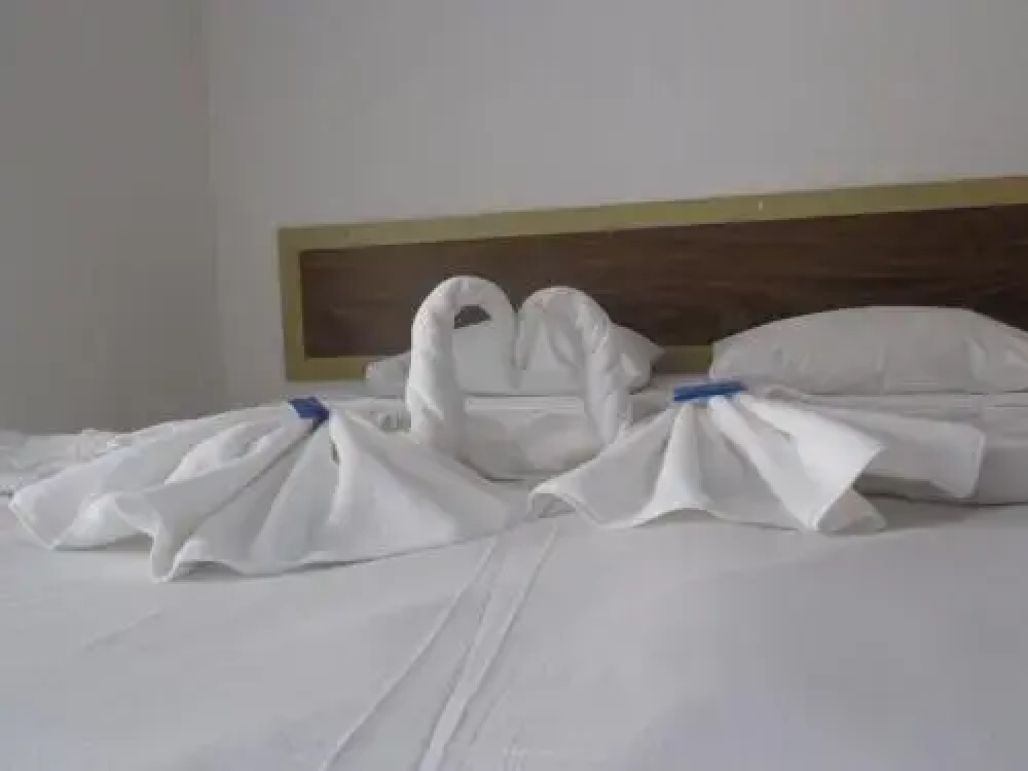 Hotel Oitis