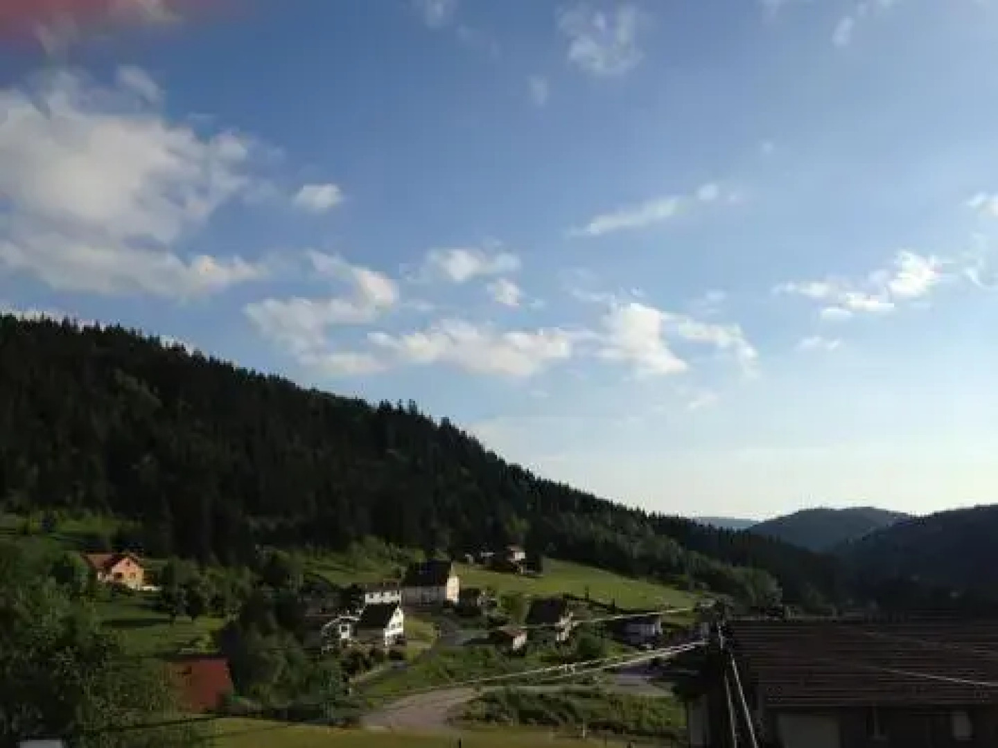 Chalet Le Roncing