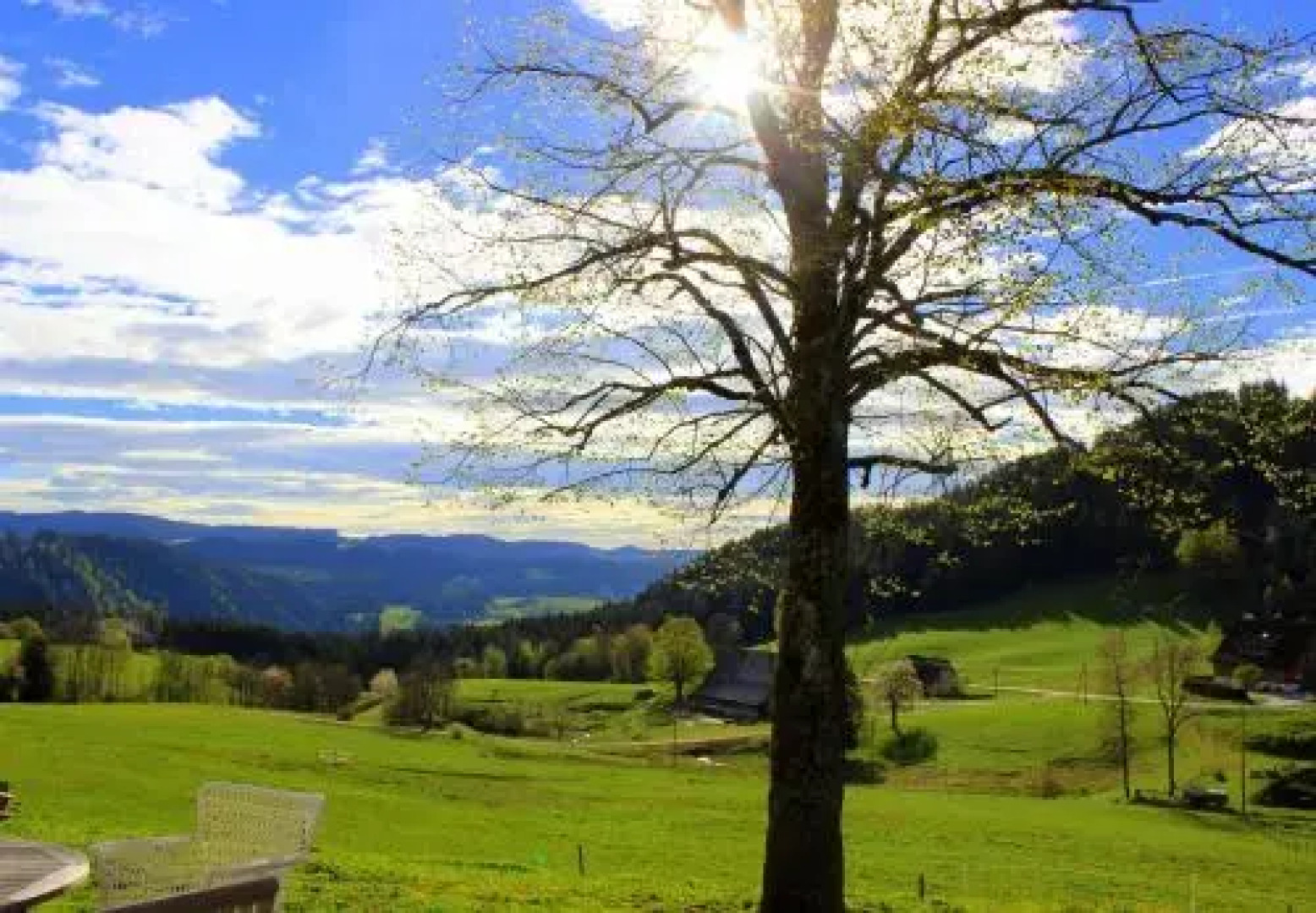 Urbanshof Ferienwohnungen