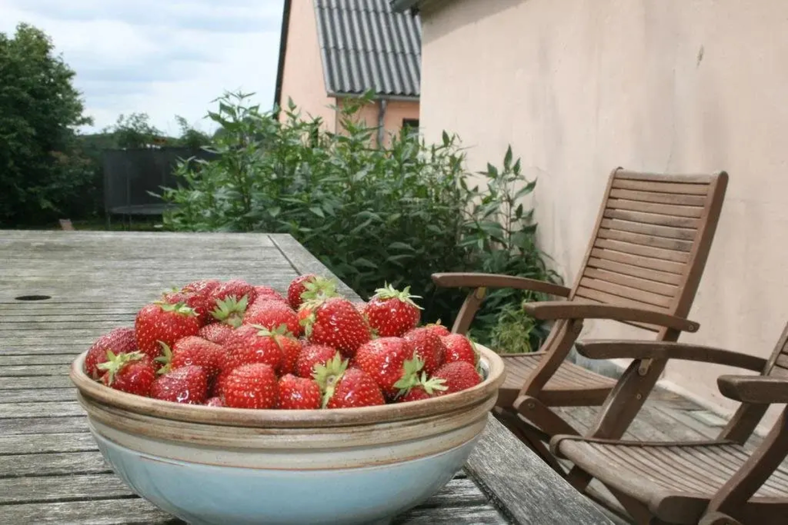 Sandaasen Ecological Farm