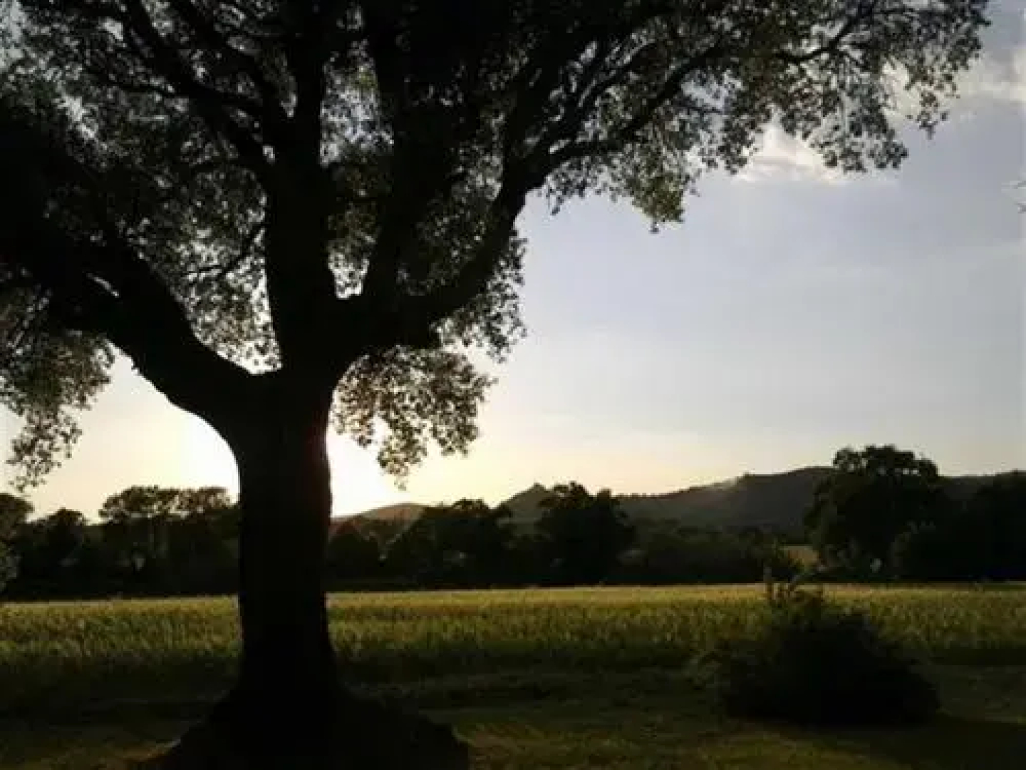 B&B Le Querce