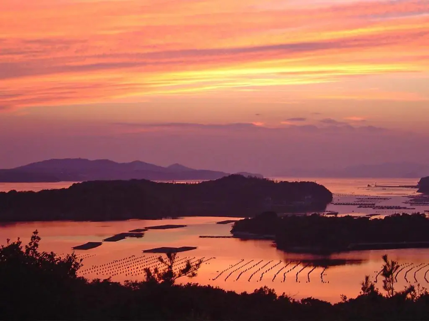 Hotel Makinoki