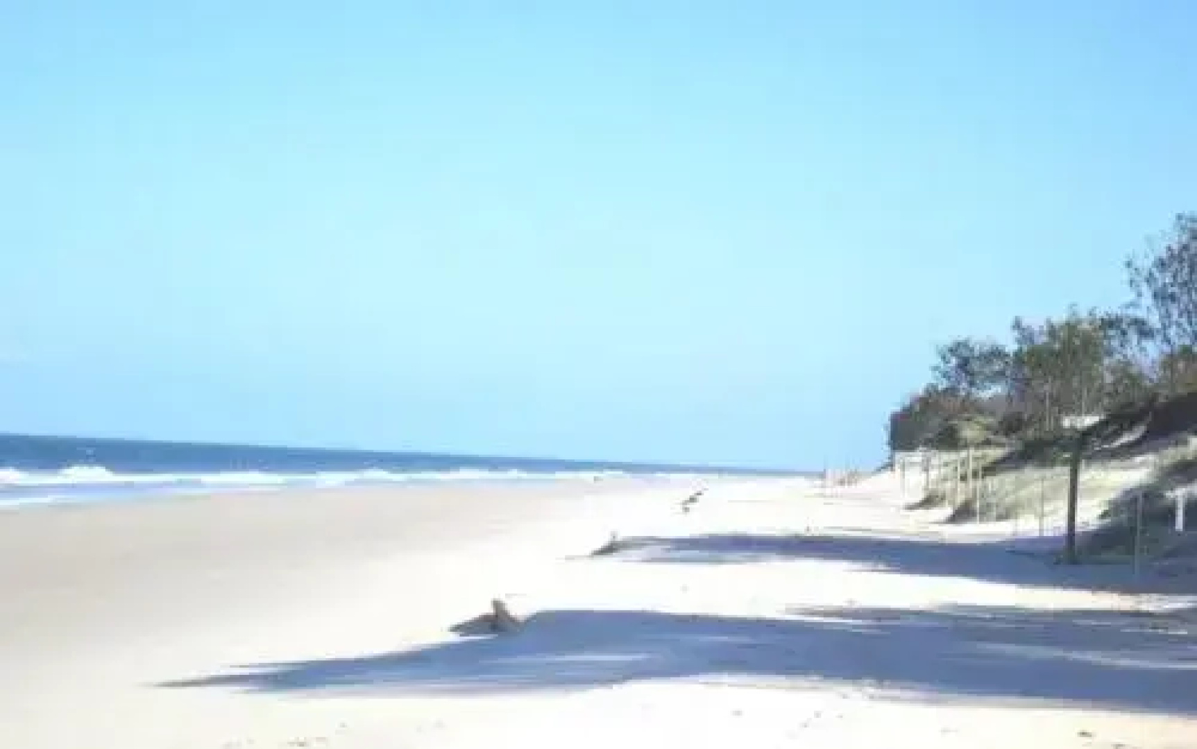 Pet Friendly home walking distance to Surf Beach - North St, Woorim