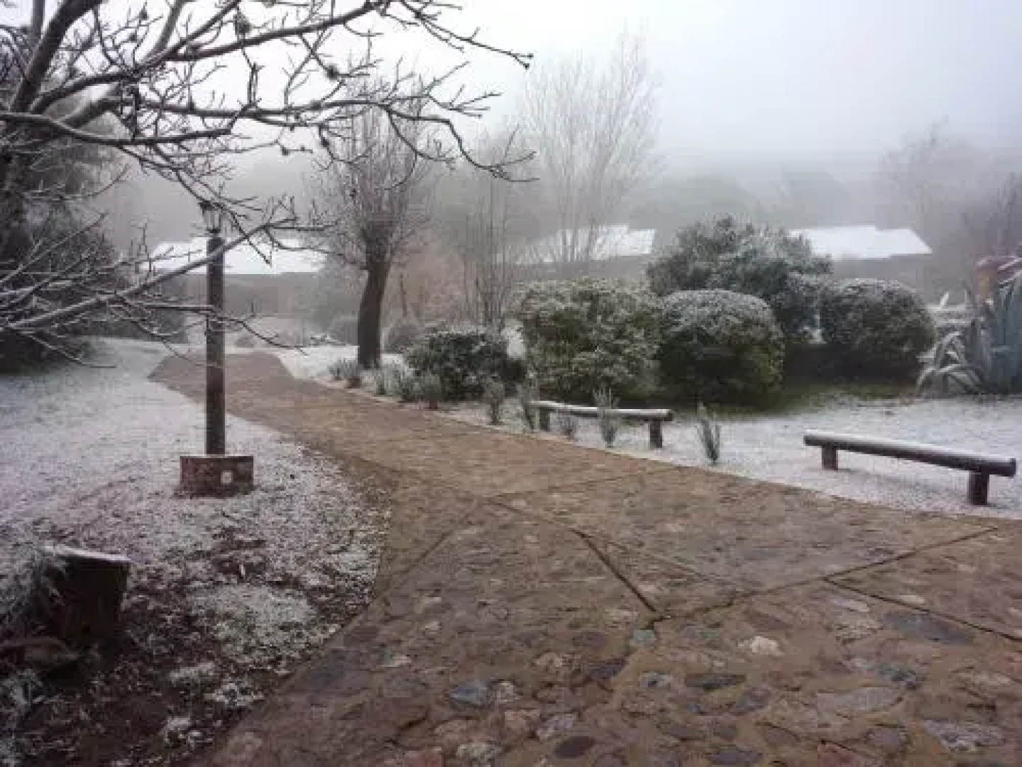 Cabaï¿½as Los Cerezos