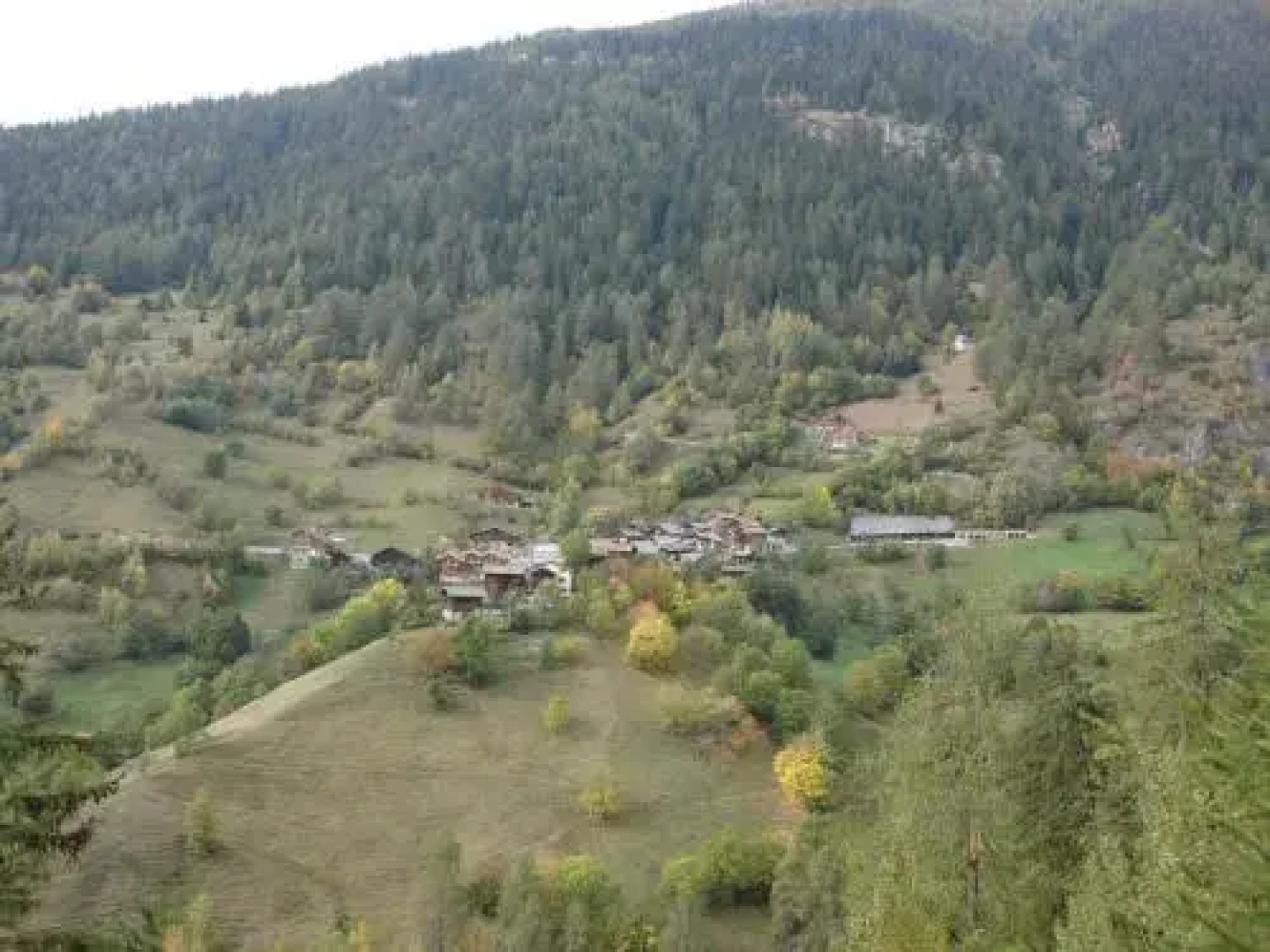 B&B Feschel