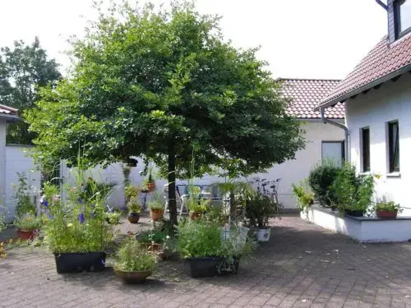 Ferienhaus 'Am Walde'