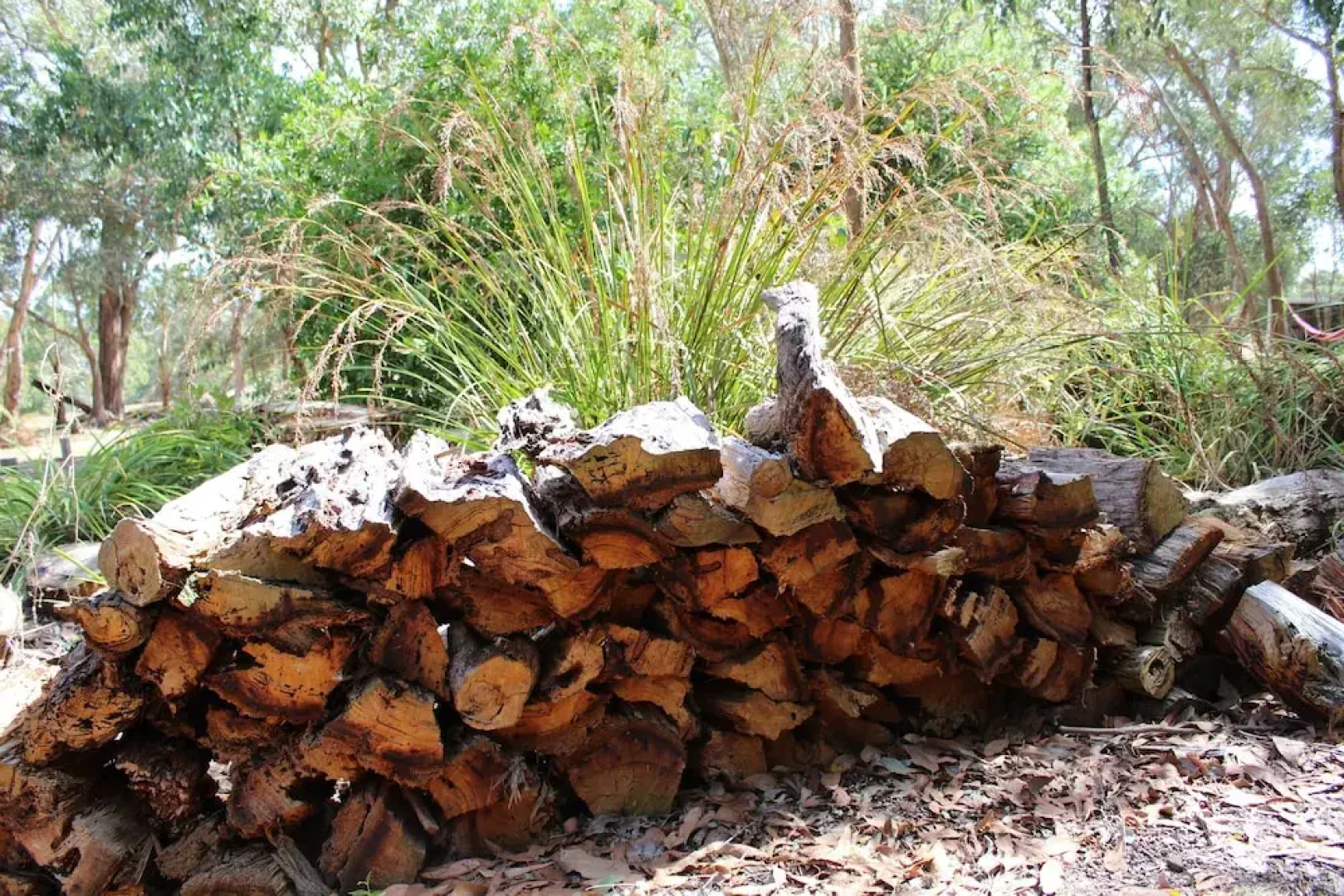 12 Apostles Hinterland Cottages