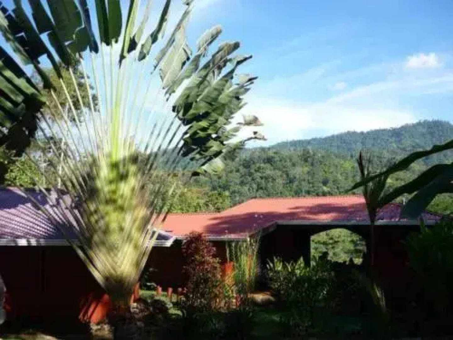 La Cacatua Lodge