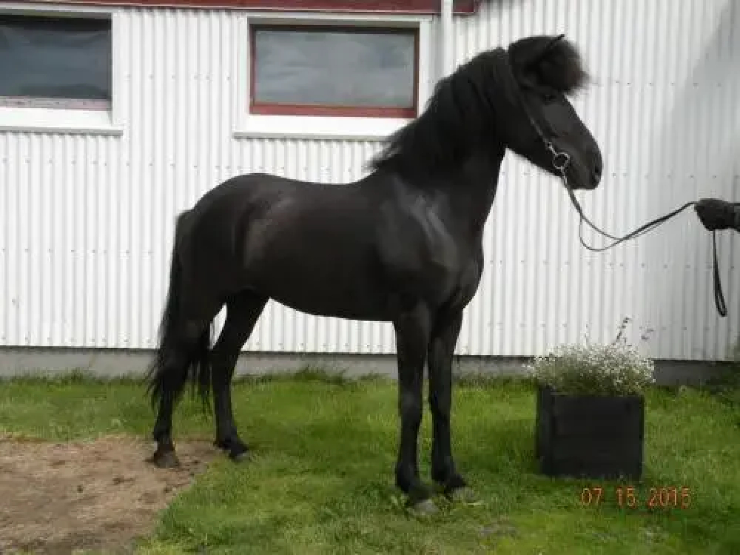 Jaðar - The Old House