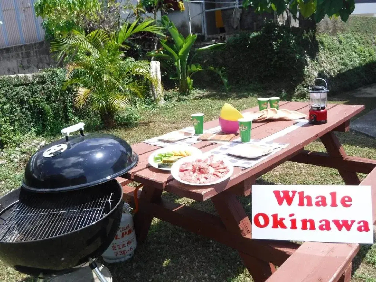 Whale Okinawa
