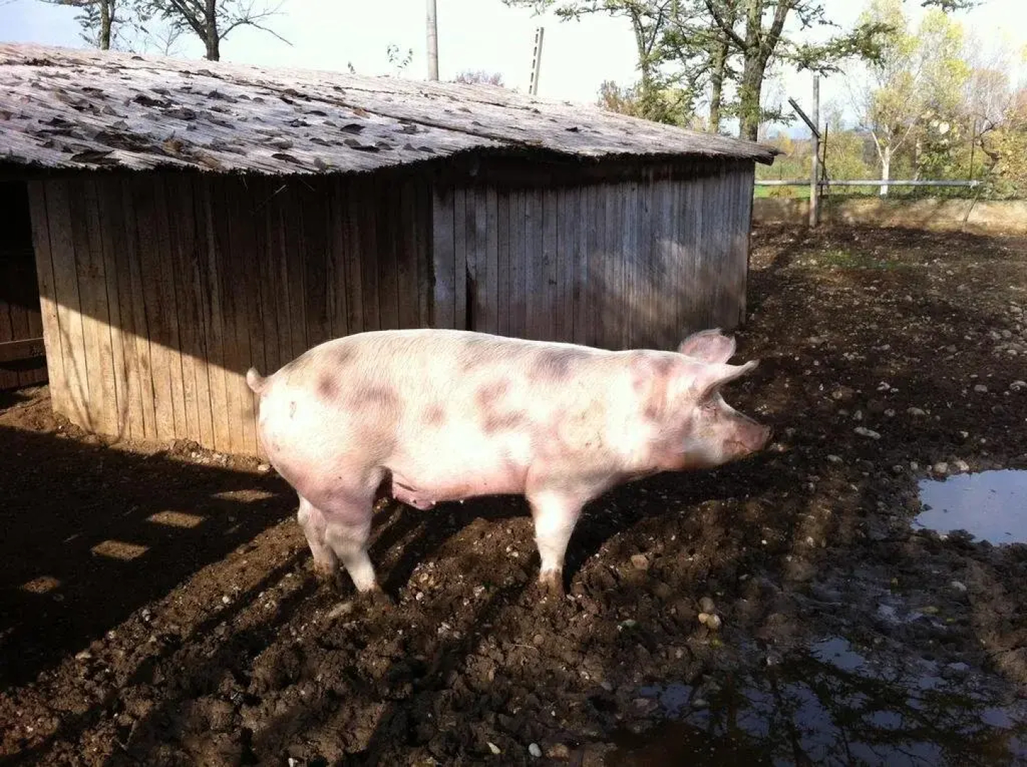 Agriturismo La Montina