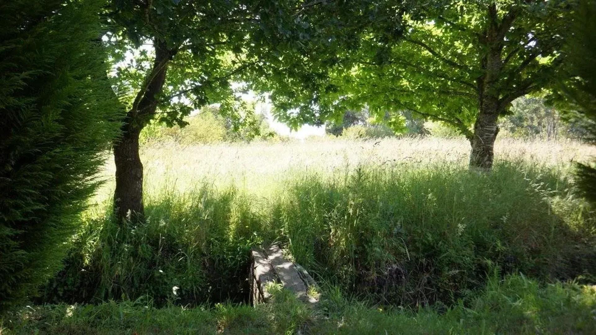 Hostal Flor Del Bosque