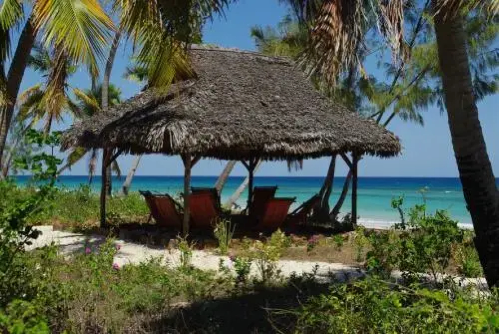 Nature Lodge