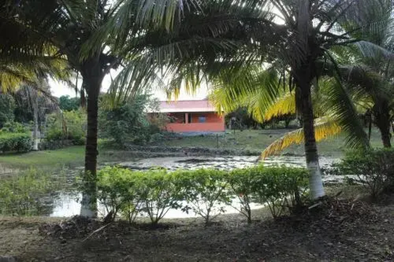 Highway Trails Belize Resort and Country Club