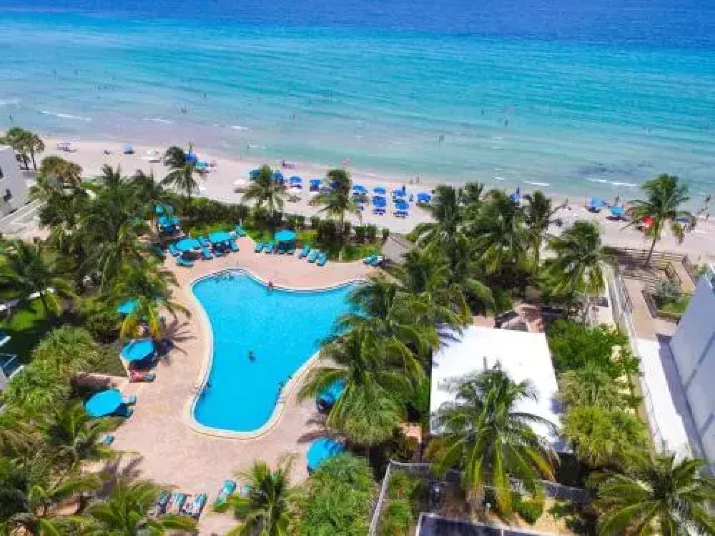 Beautiful Apartment On The Beach!