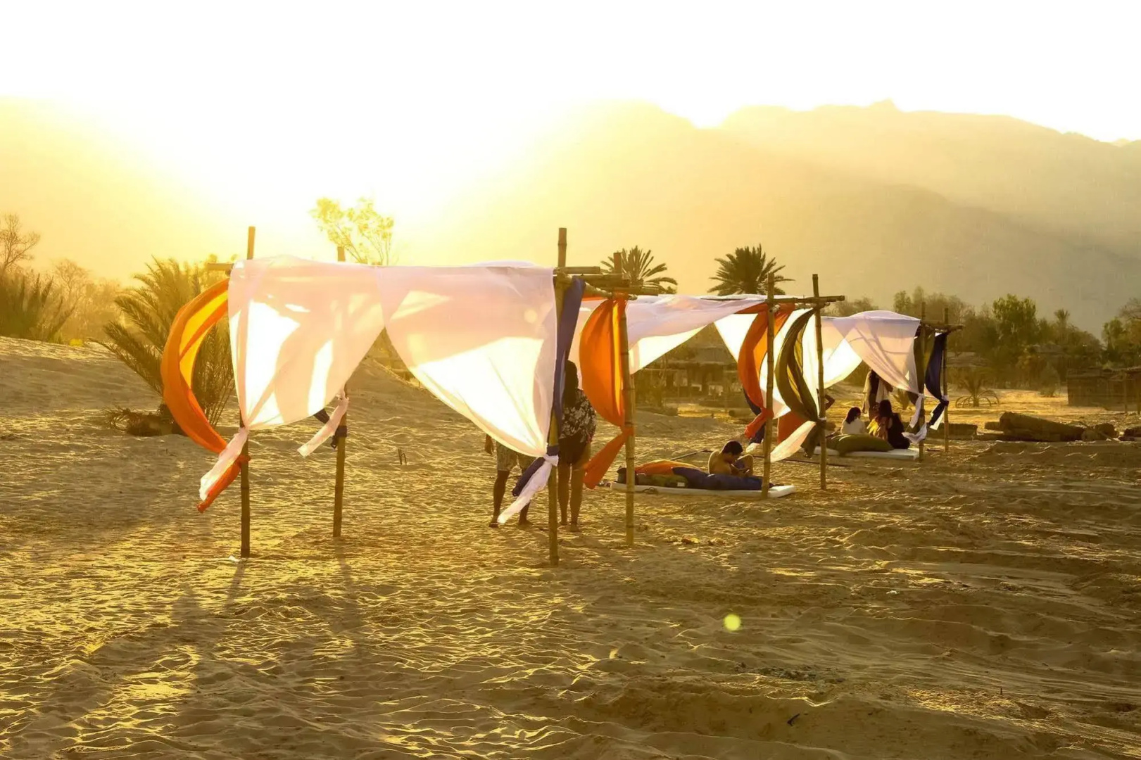 Ayla Camp
