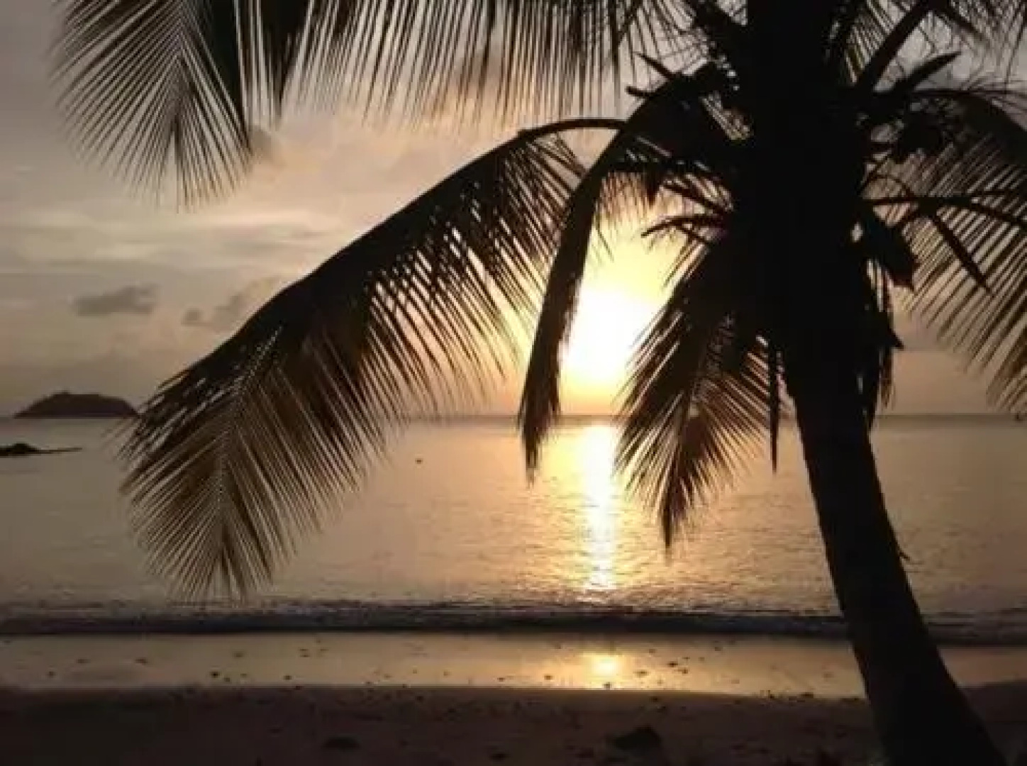 Studio Vue Mer aux Trois-Îlets