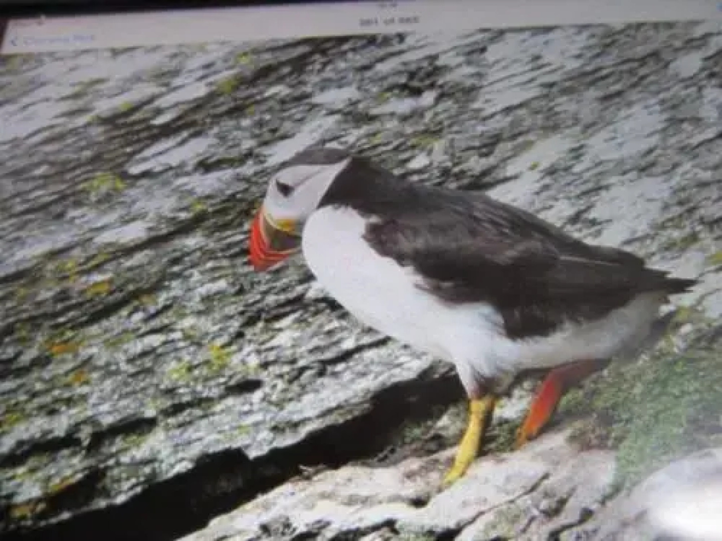 Cliffords Ocean View B&B