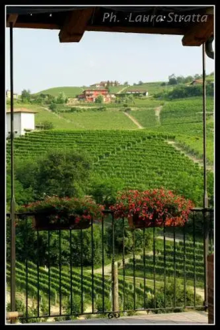 Cascina Sciulun