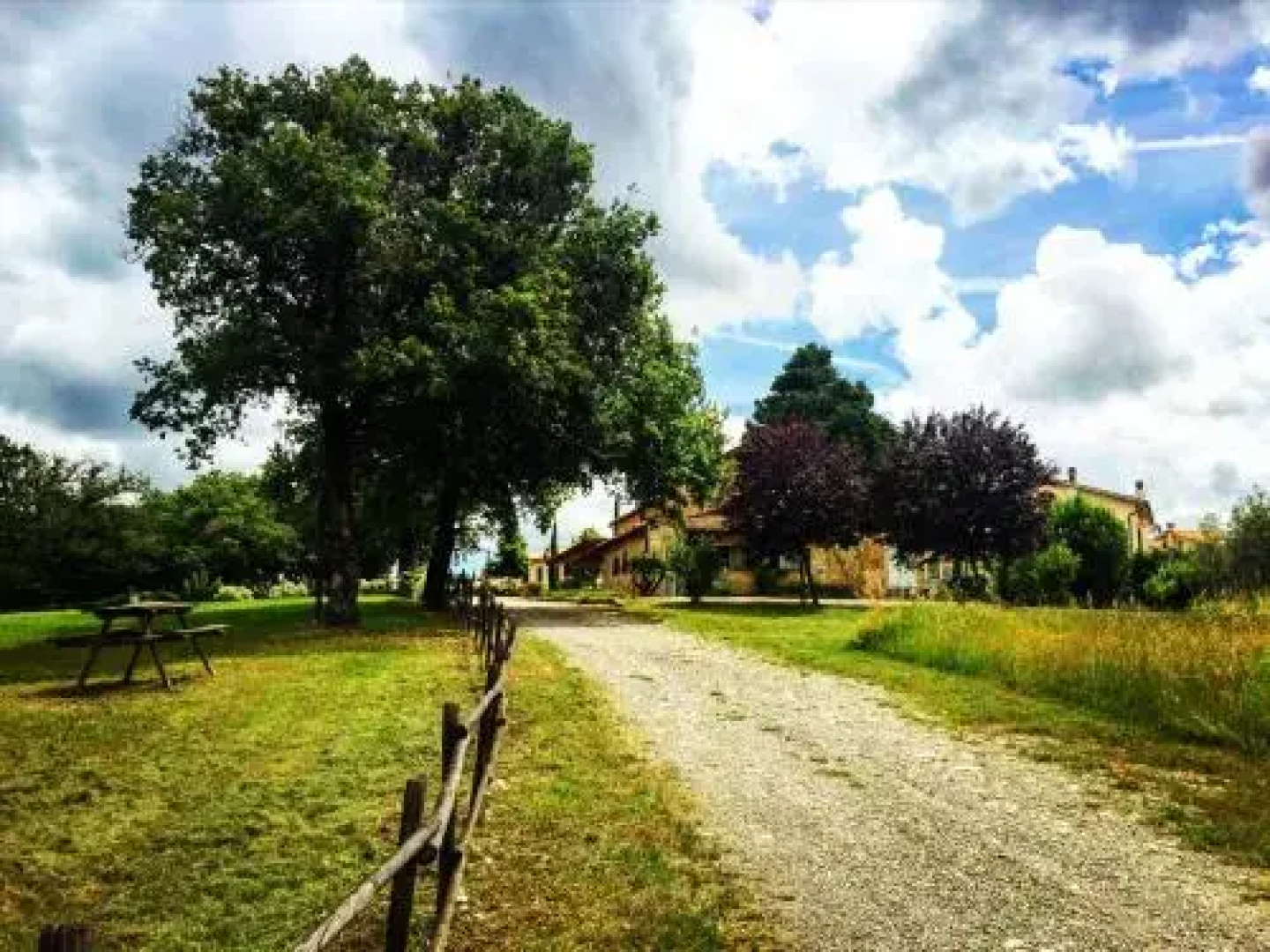 Fattoria Conio