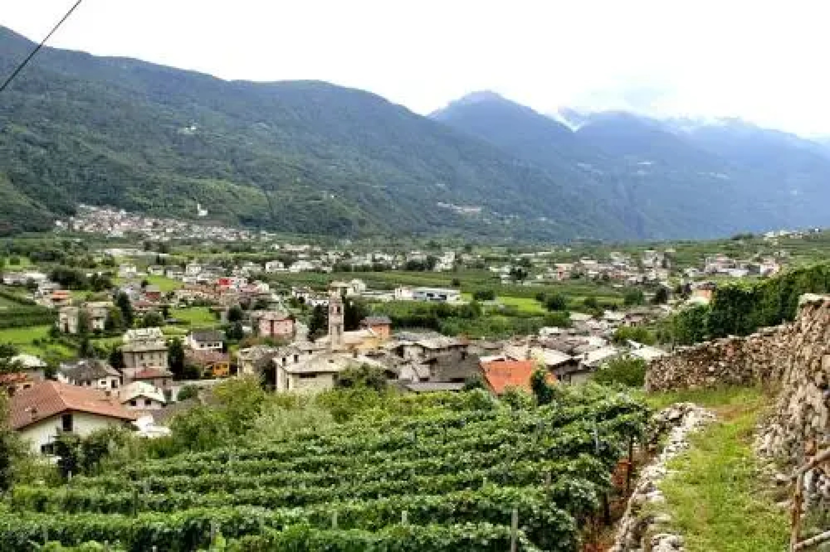 Villa Golden