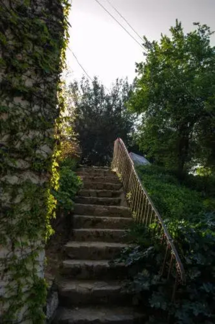 El Cerrillo Bed & Breakfast