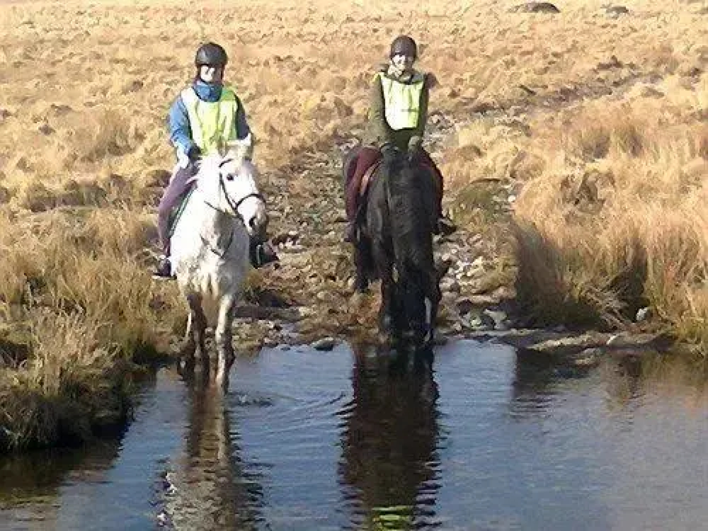 Tor Royal Bed & Breakfast