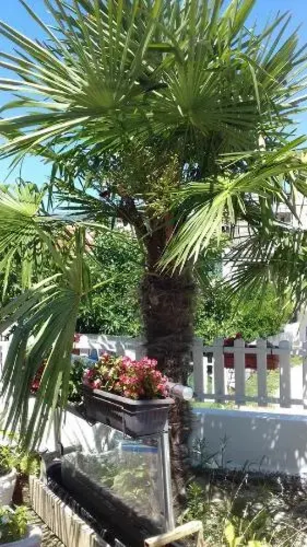 Guest House Rejjan