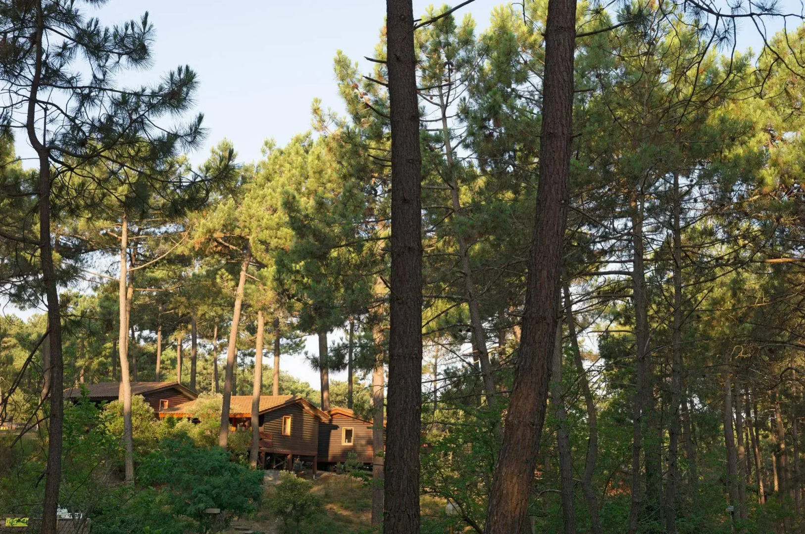 Belambra Hotels & Resorts Les Sentes