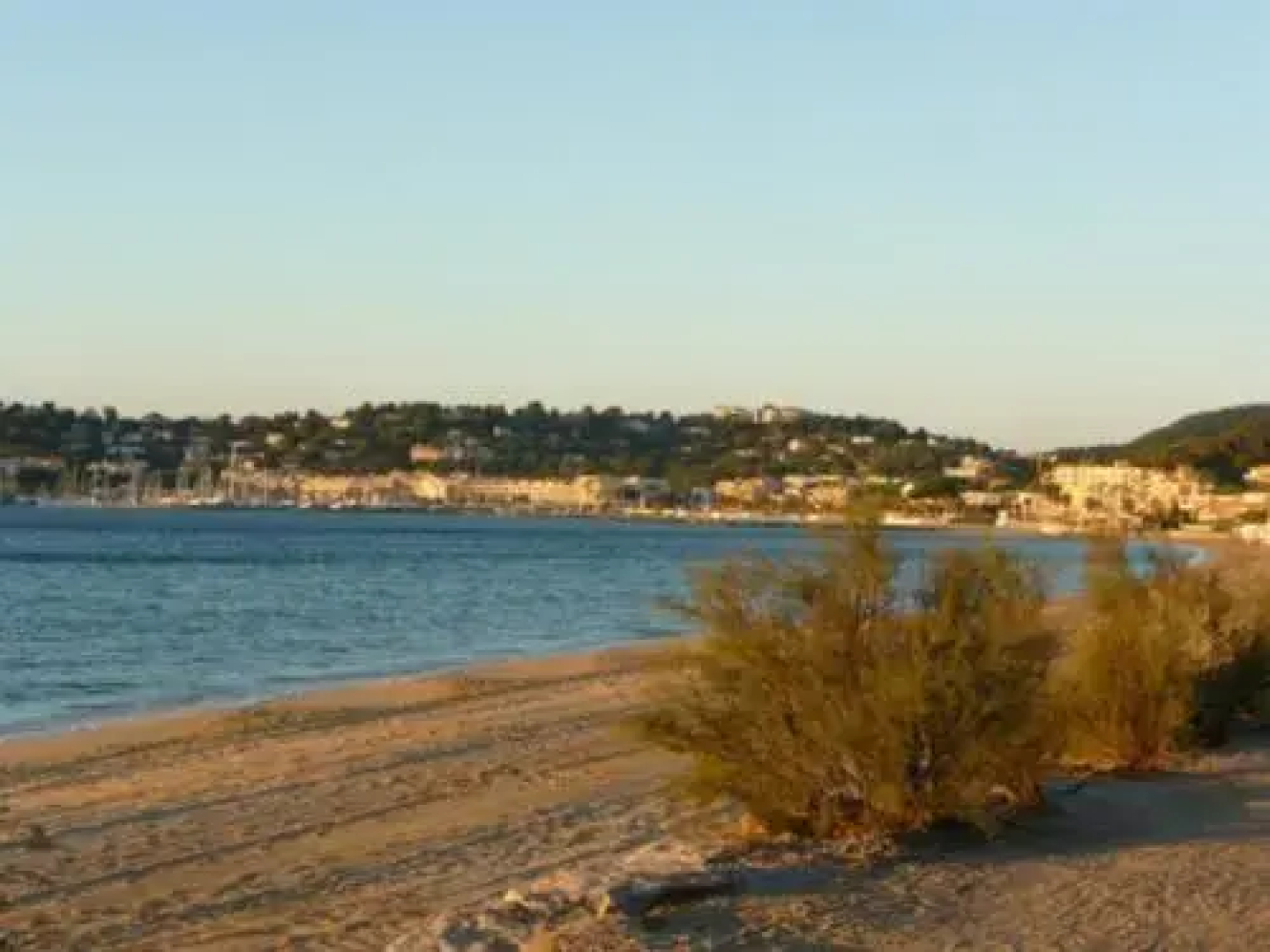 Hôtel Cavalaire Les Eucalyptus