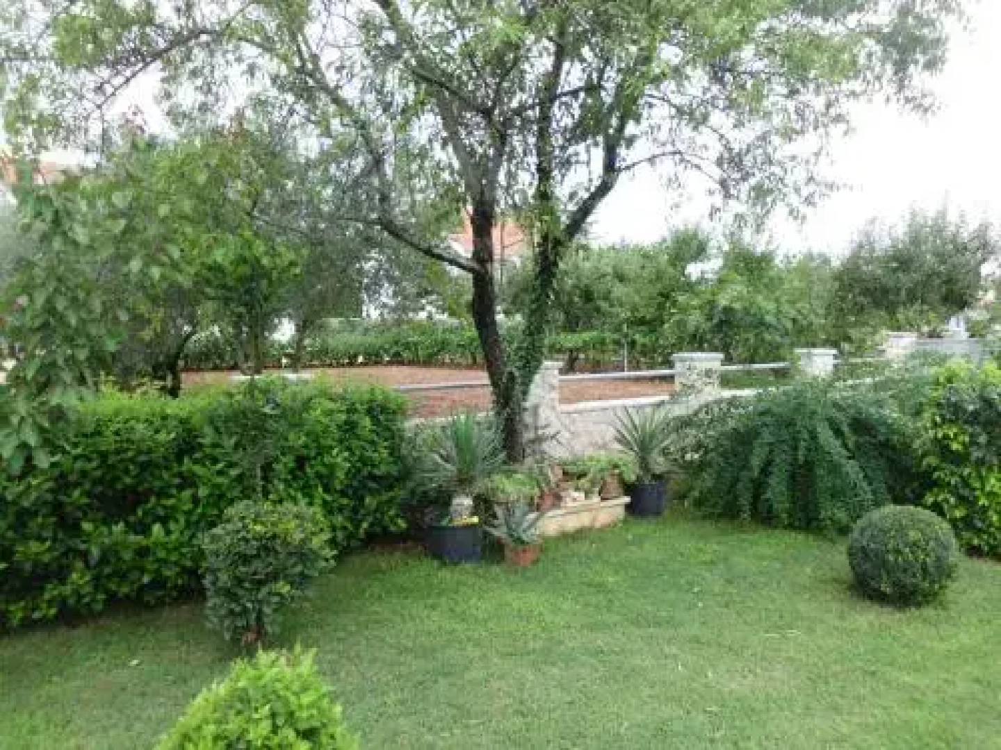 Villa Surać
