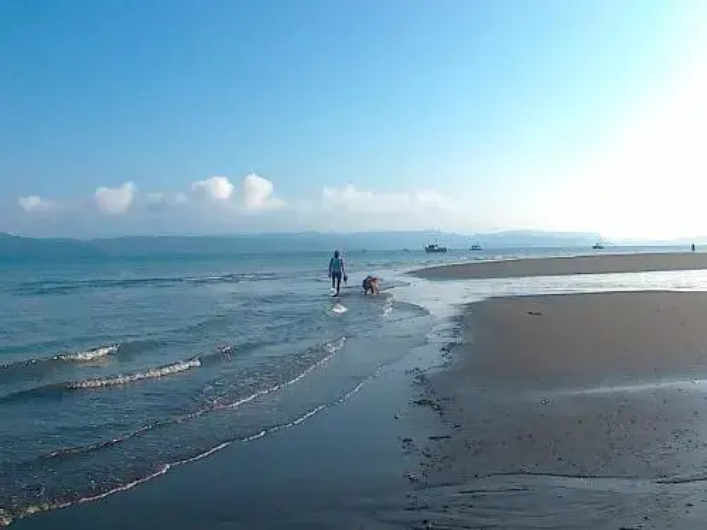 Casa Celeste Del Golfo Dulce