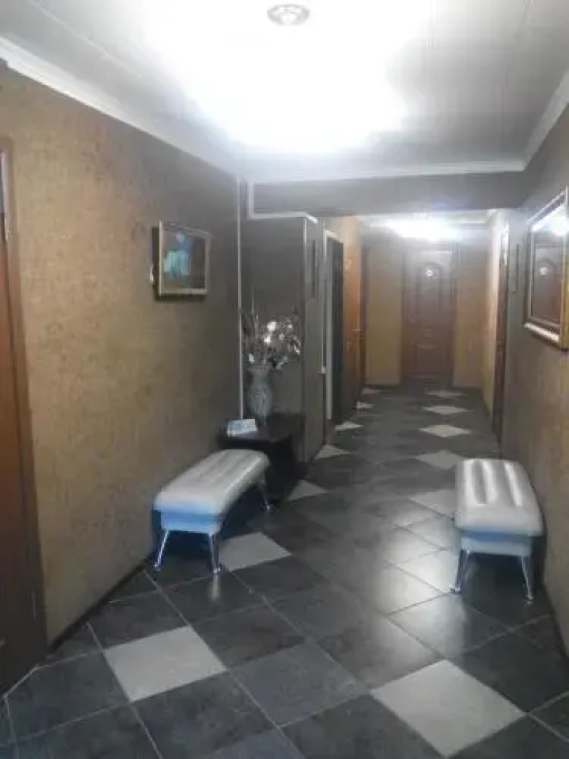 Медведица