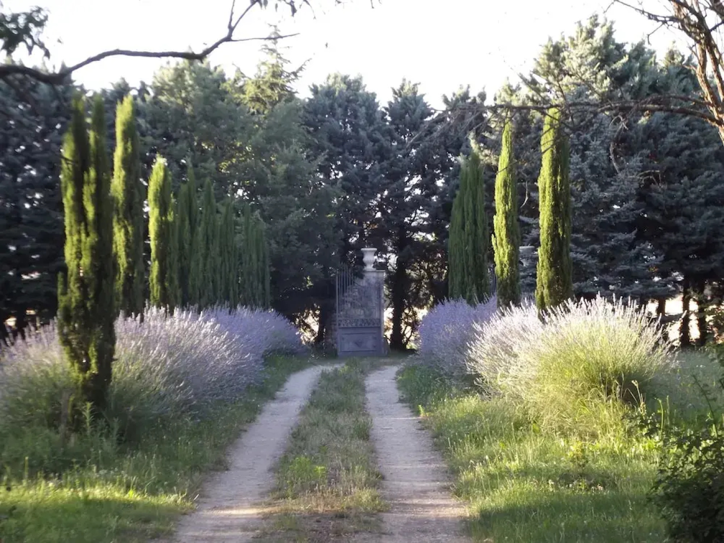 Domaine du Vivier
