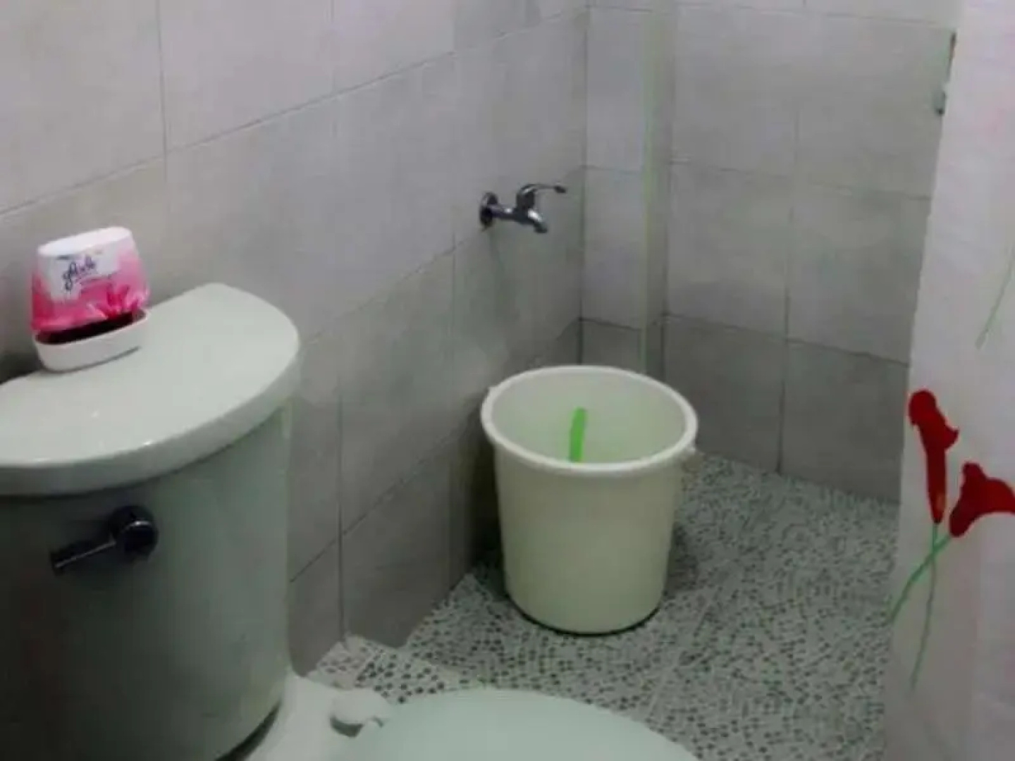 Baler Darshans Guesthouse