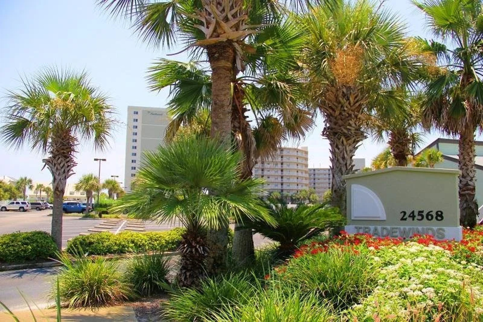 TradeWinds 408 by RedAwning