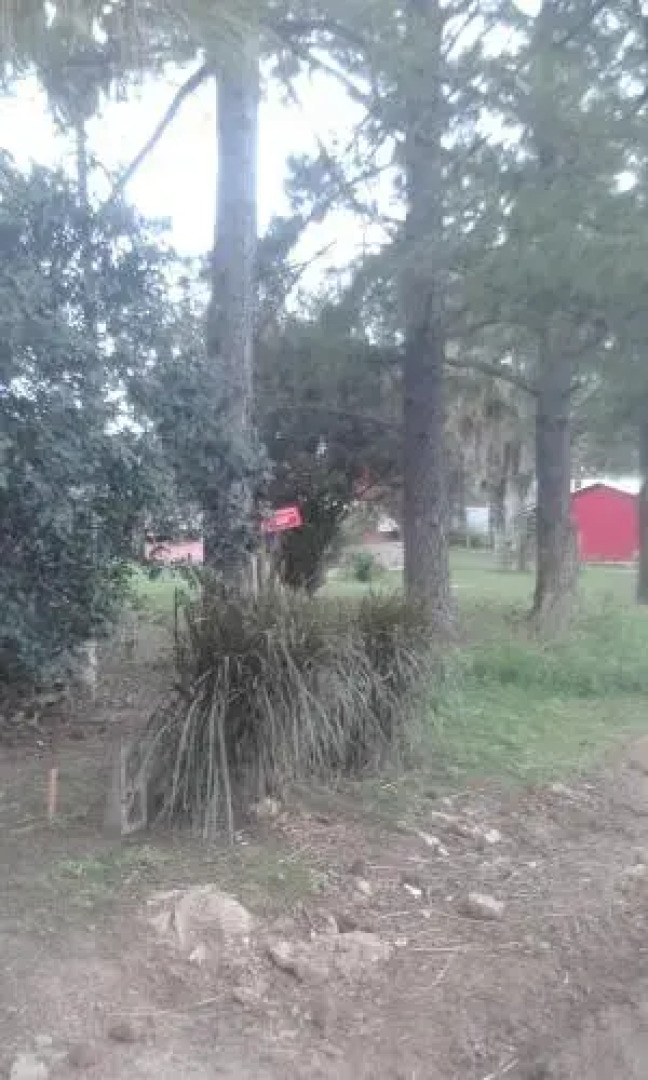 La Casa de los Pinos