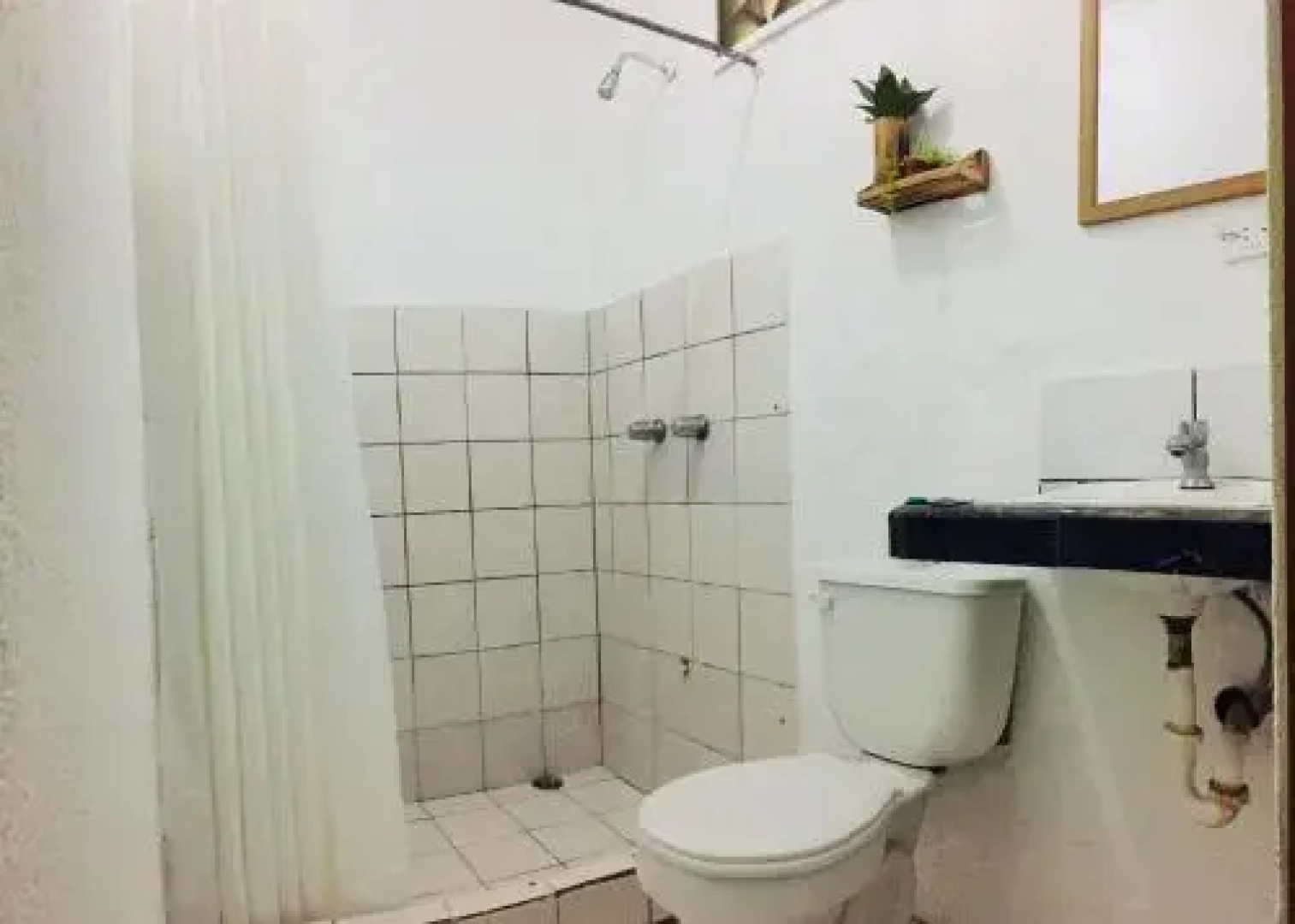 Cabinas Palmer Makanda