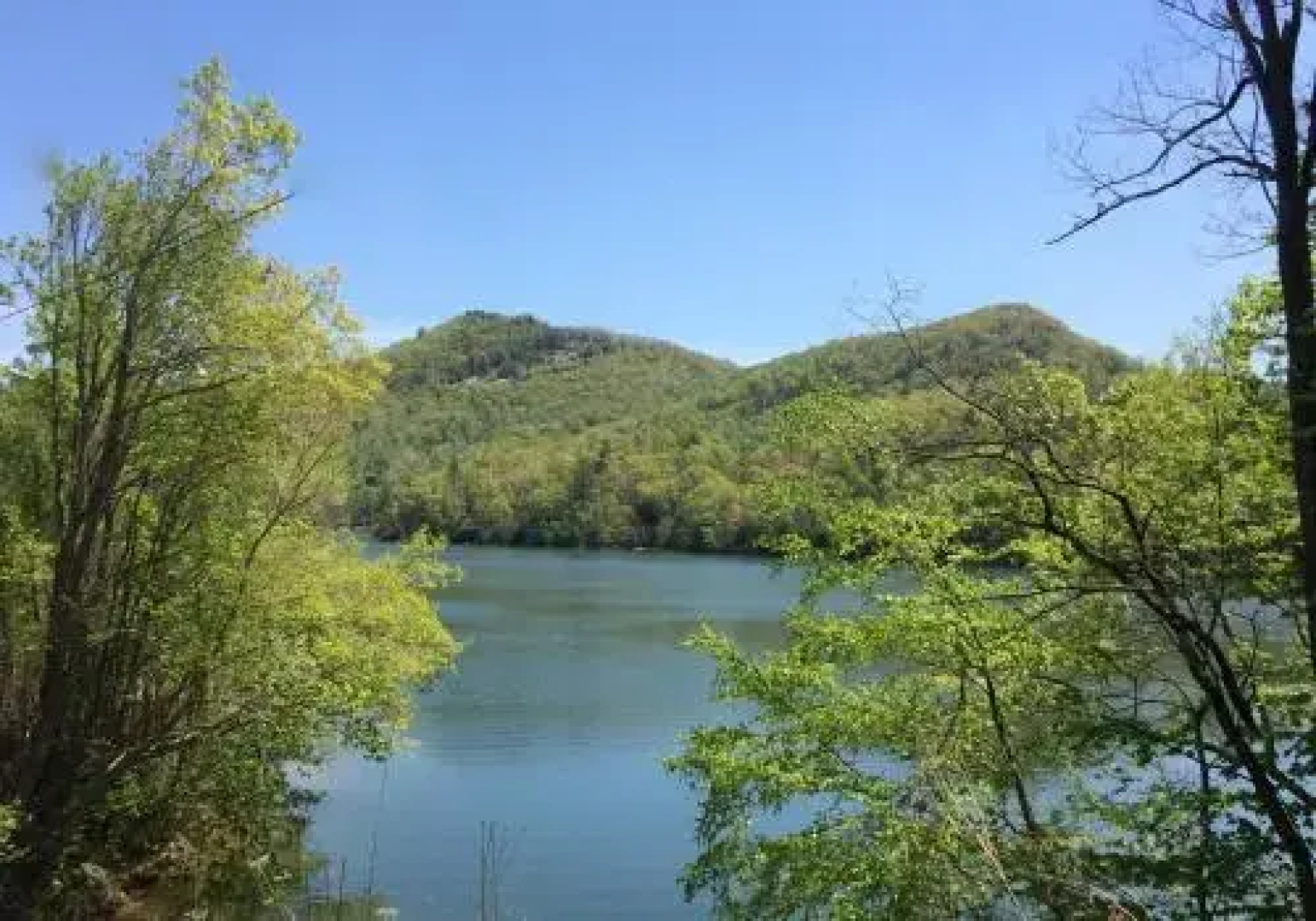 Wolf Creek Lake Cabins - Oakview Cabin