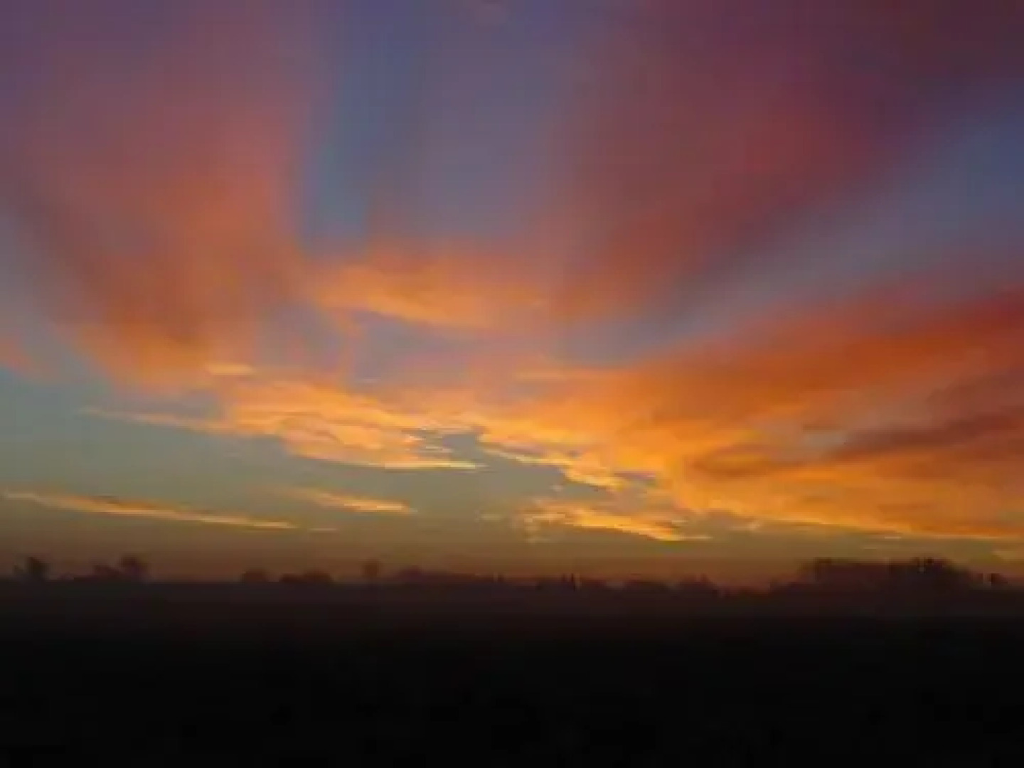 Park Nieuwgrapendaal